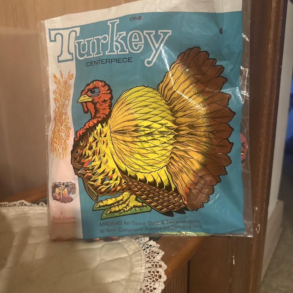 Vintage Set Of Thanksgiving Decoration Honeycomb Die-Cut Turkey 1 Lg 2 Md 4 Sml - Picture 3 of 13